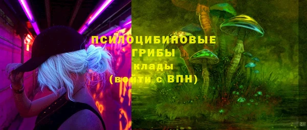 дурь Алексин
