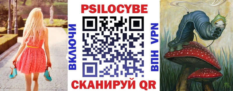 купить закладку  Светлоград  Псилоцибиновые грибы Psilocybine cubensis 