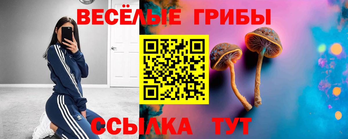 сколько стоит  Галлюциногенные грибы мицелий  Вход с VPN  Светлоград  Псилоцибиновые грибы MAGIC MUSHROOMS 